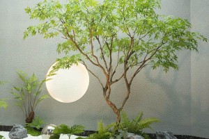 Thảm cỏ – Thảm rêu nhân tạo giá rẻ tại Quy Nhơn: Giải pháp xanh cho không gian sống Thảm cỏ – Thảm rêu nhân tạo giá rẻ tại Quy Nhơn: Giải pháp xanh cho không gian sống