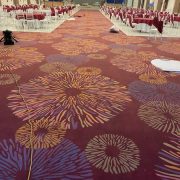 tham-cuon-hoa-van-d17-3